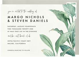 'Vintage Tropics' Wedding Invitation